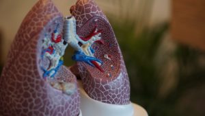 Operatyviai ir saugiai kovai su COVID-19 ir kitomis plaučių ligomis – KTU alumnų ir studentų kuriama unikali tyrimų sistema