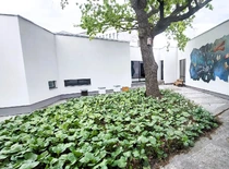 Aviliai ant KTU MIDF stogo