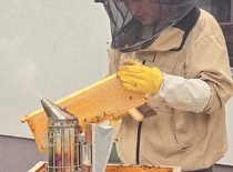 KTU mokslininkas dr. Ginas Čižauskas